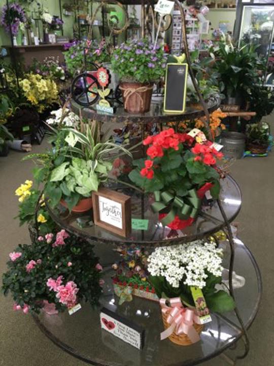 Flowers 'N More Florists Osceola, IA